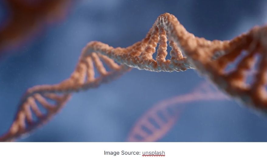 Gene Editing
