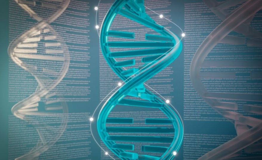 DNA Variation