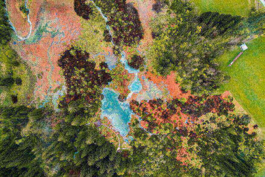 What Are Biodiversity Hotspots?