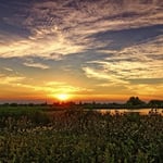 Previous Post Image