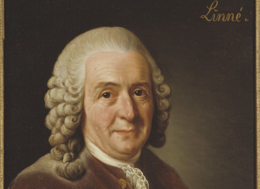 Carl Linnaeus