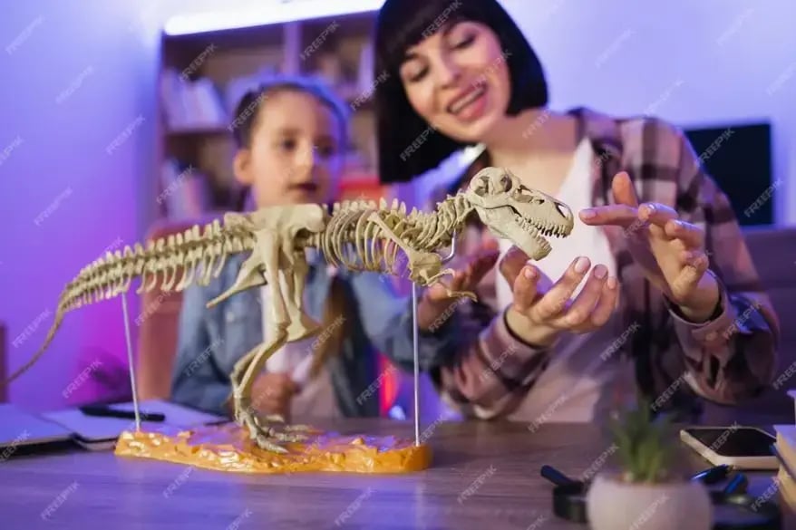 Dinosaur Fossils