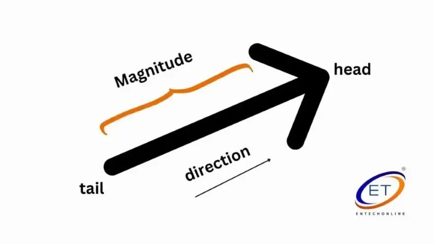 Vectors as Mathematical Objects