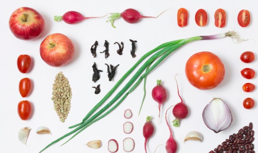 Plant Morphology- Fruits and Seeds