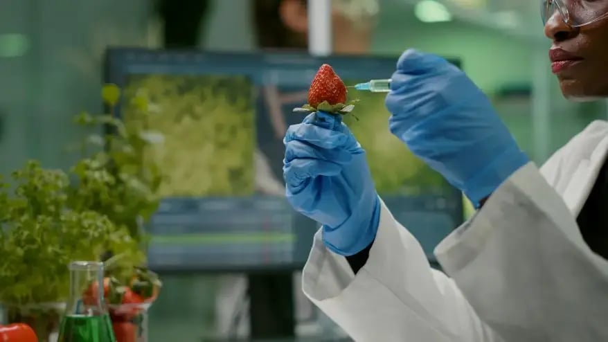 Genetically Modified Fruit 