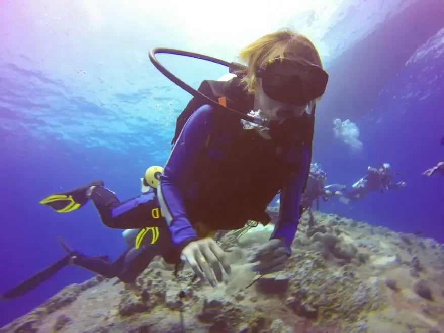 Oceanology