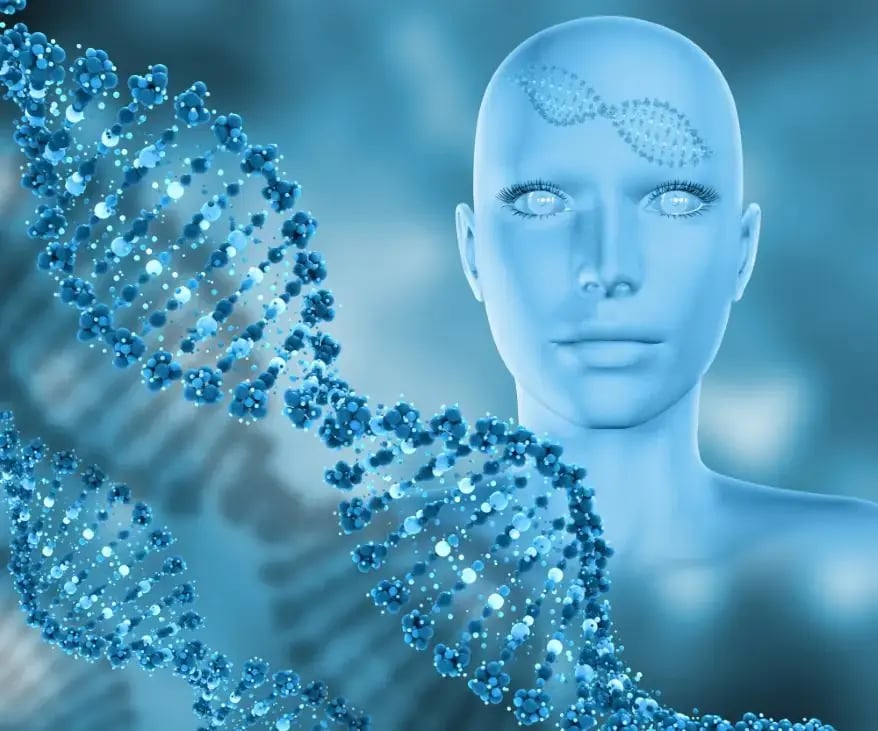 DNA Repair in Aging