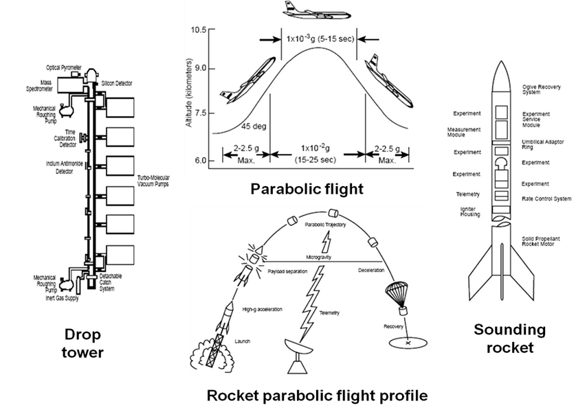 rocker parabolic fight profile