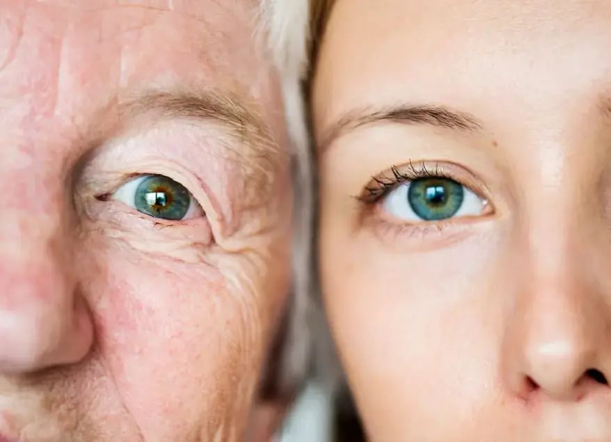 Biology of Aging Journey