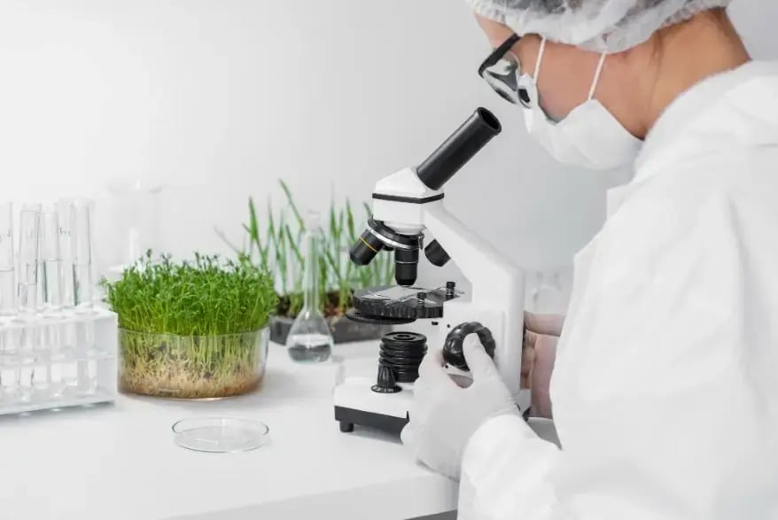 Molecular System Mimic Photosynthesis