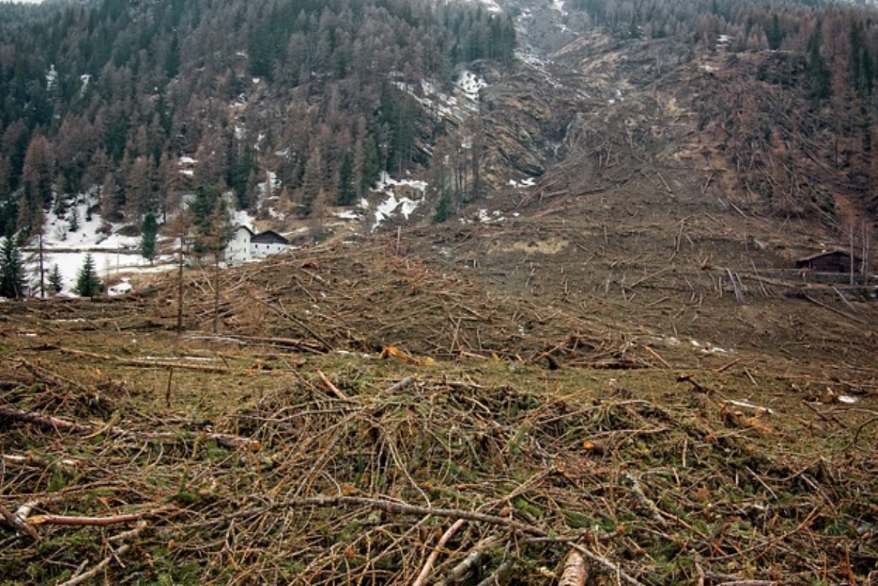Impacts on Ecosystem
