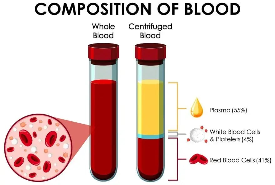 Blood Composition 
