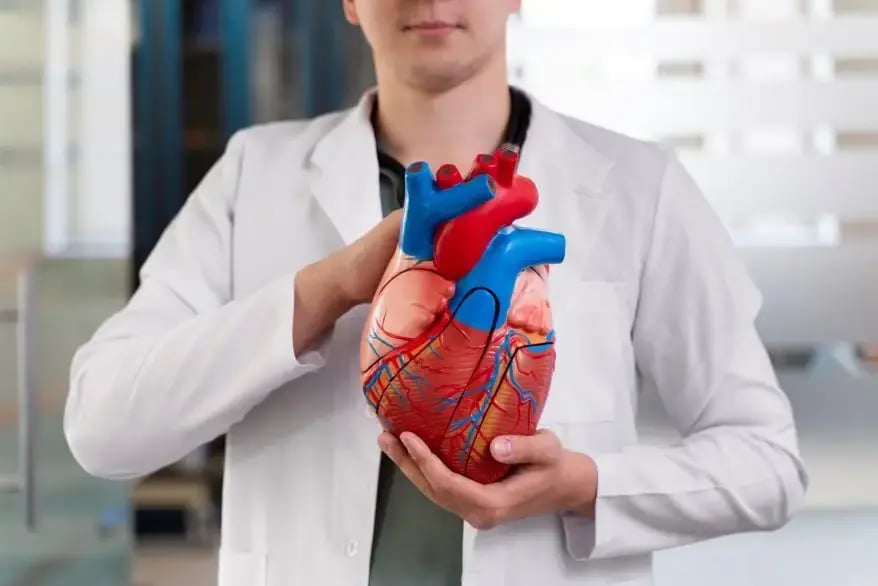Human Heart- Body Fluids and Circulation