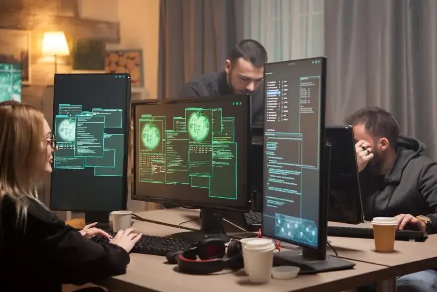 Bug bounty hunters