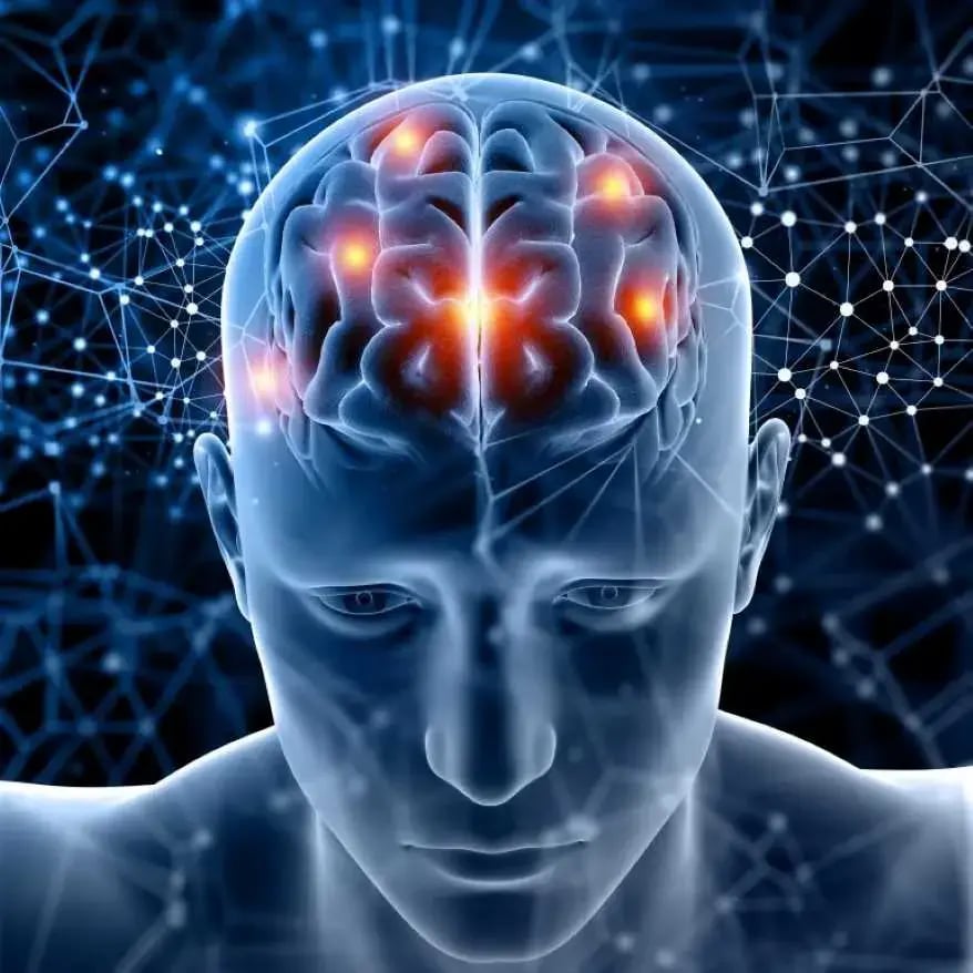 Illustration of neural synapses, depicting the connection between two neurons. Shows the synaptic cleft, neurotransmitter release, receptor binding, and signal transmission across the synapse.