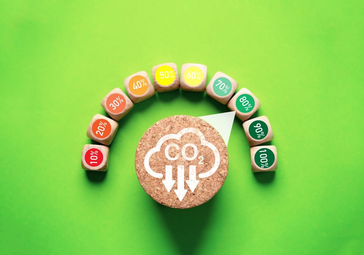  Present State of Carbon Emissions