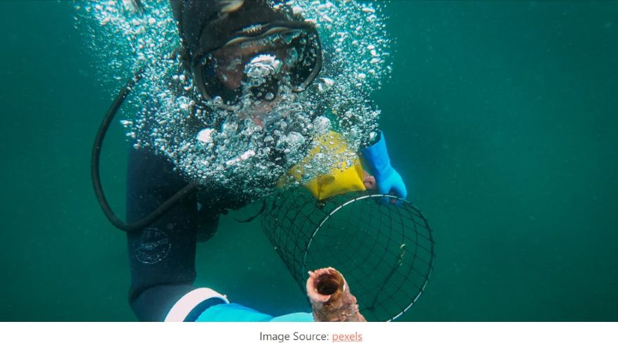 Underwater photographer