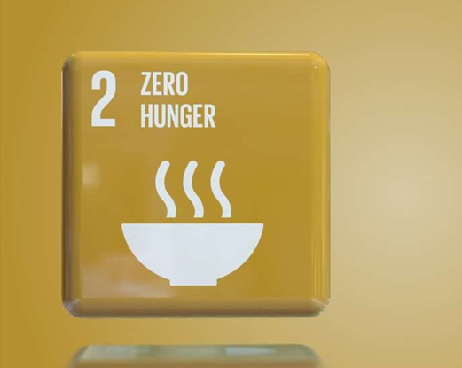 zero hunger