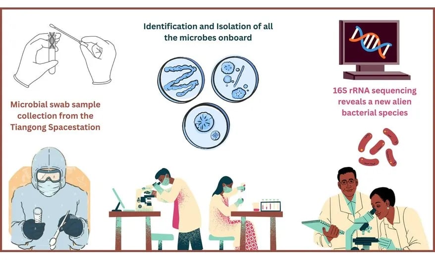 Scientists analyzing a microbial swab sample from a space station.
