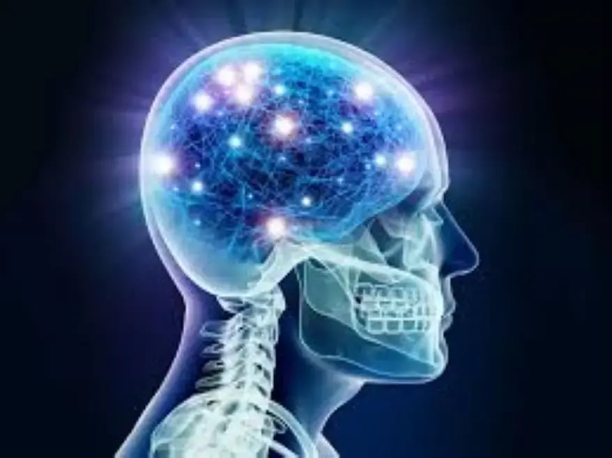 Illustration of neural coordination in the brain, showing different brain regions, neurons, and synaptic connections. Arrows indicate signal transmission between neurons, highlighting motor control, sensory processing, and cognitive functions.
