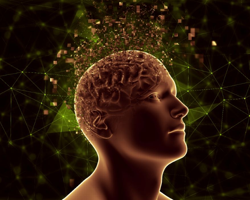 Ventromedial Prefrontal Neurons