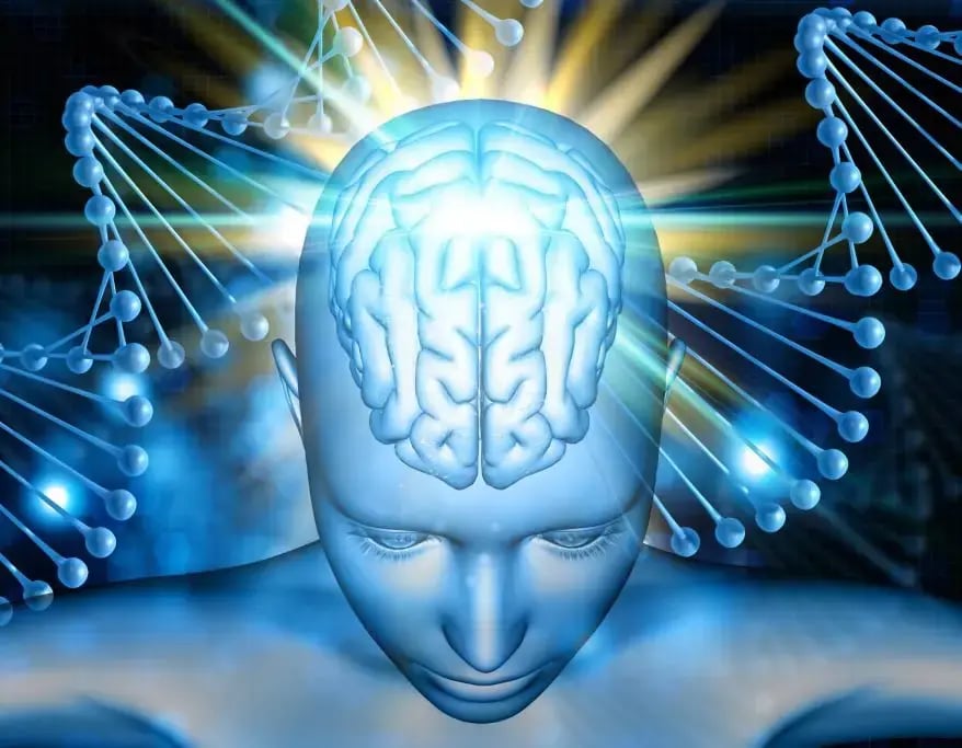 Amazing facts about brain image 