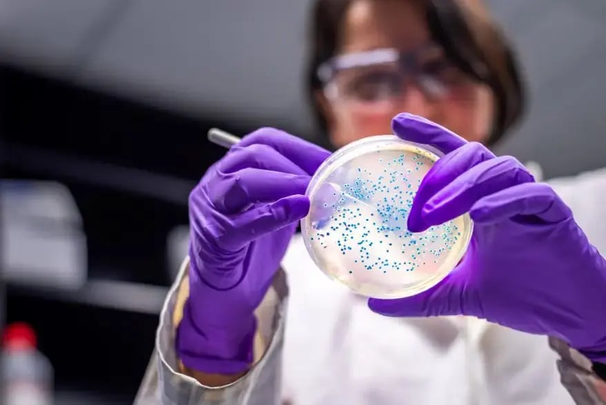 Life cell