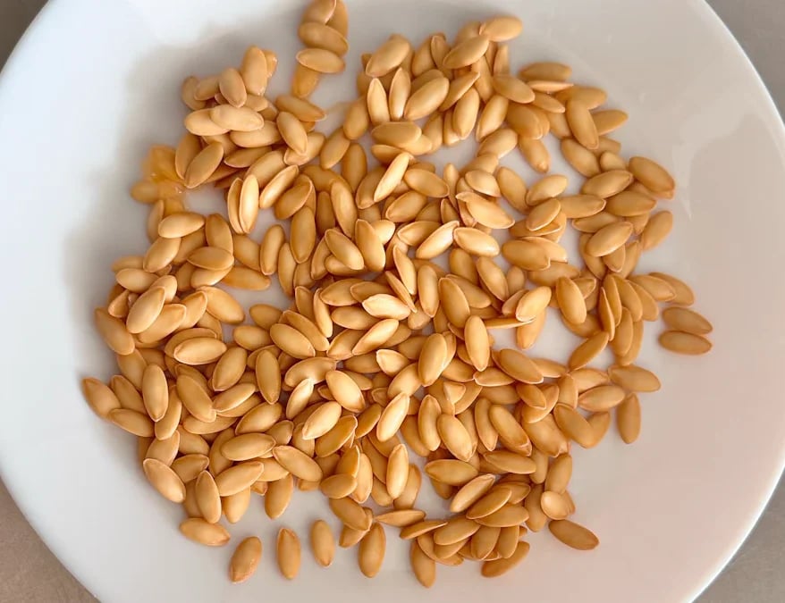 Bud Germination
