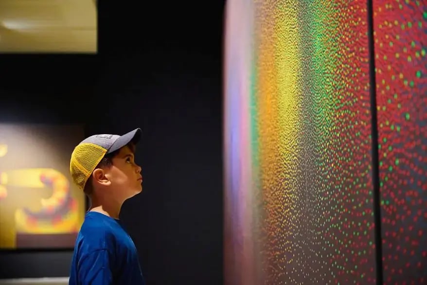 Human Color Perception