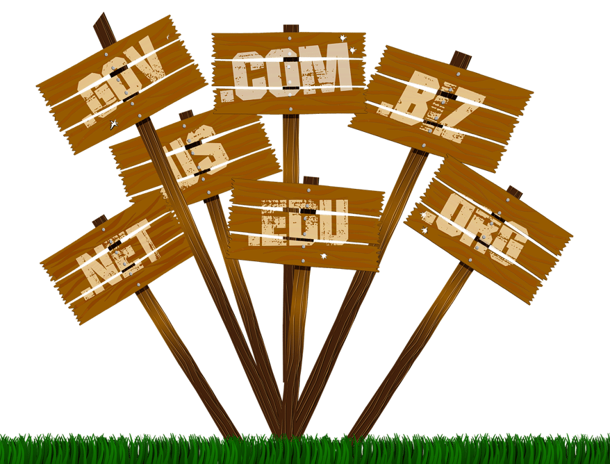 Top Level Domain names (TLD) in the Internet Infrastruture