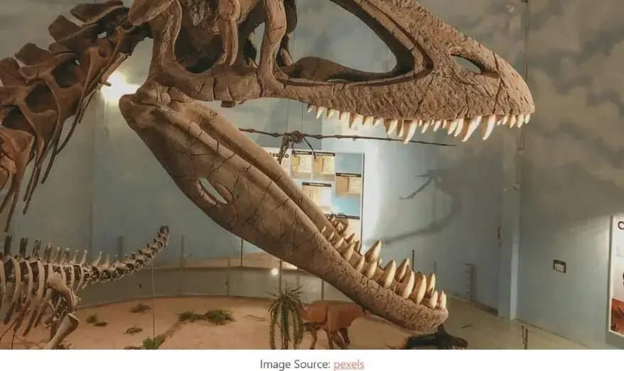 Dinosaur Provincial Park