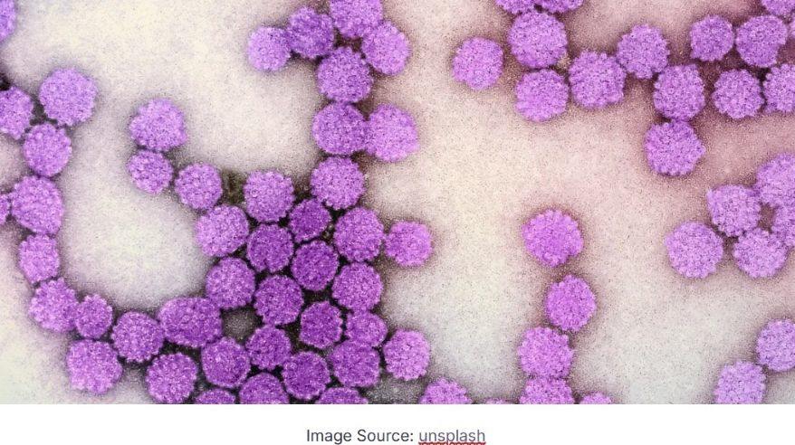 Parasitic Infections