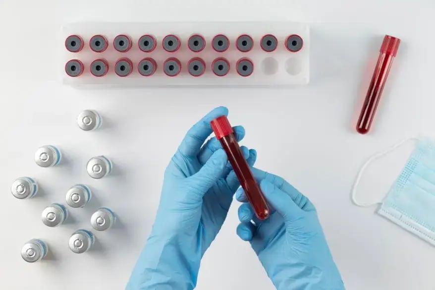 The compatibility of blood types for transfusions.
