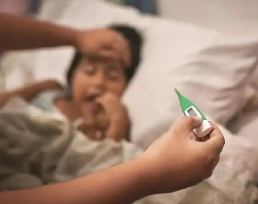 Common vector infection in humans