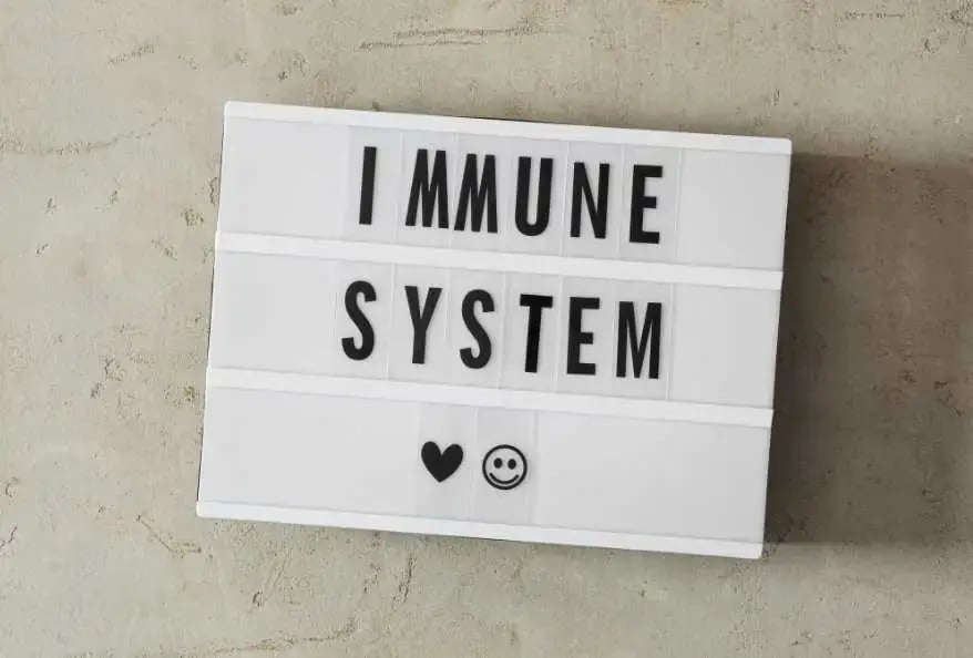 immune system