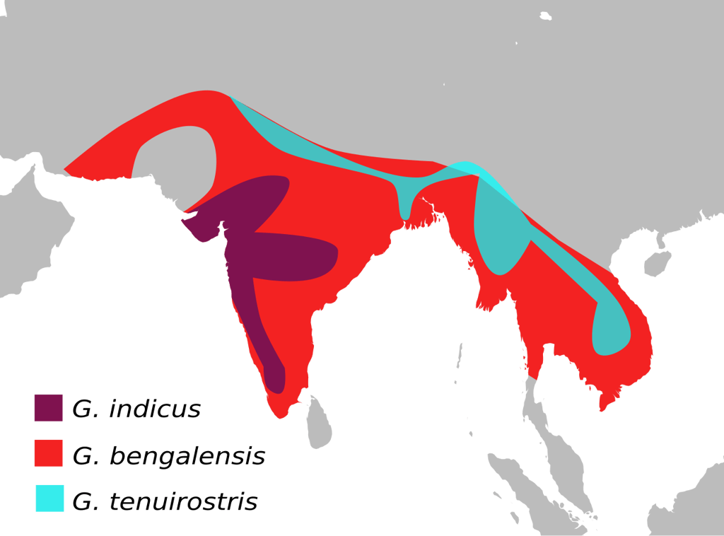 Source: Wikimedia