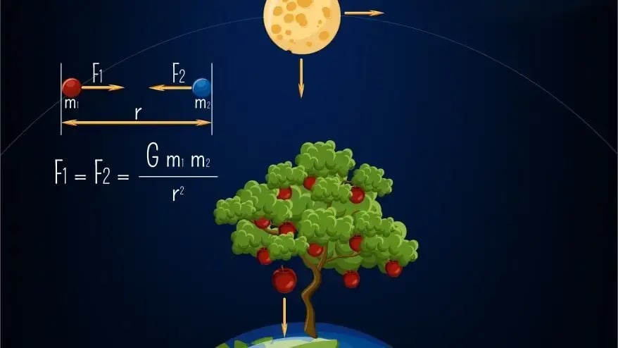 Earth Moon Gravity