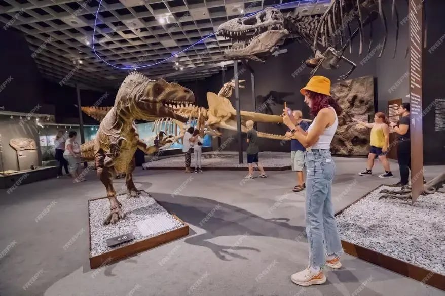 BYU Museum of Paleontology