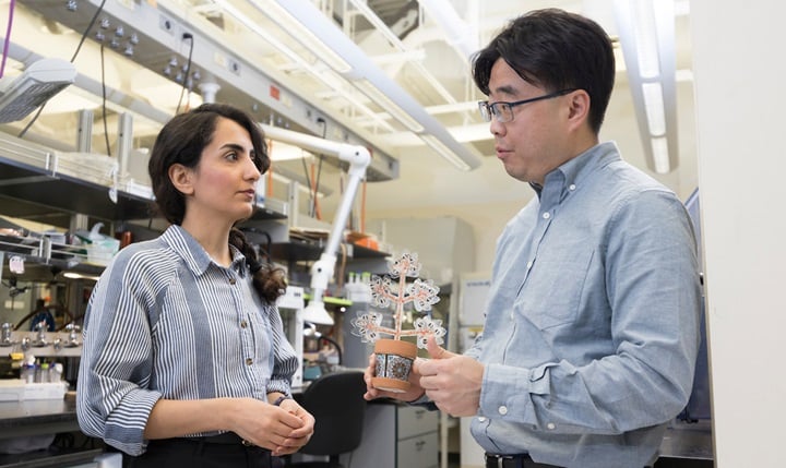 Artificial plants that generate electricity