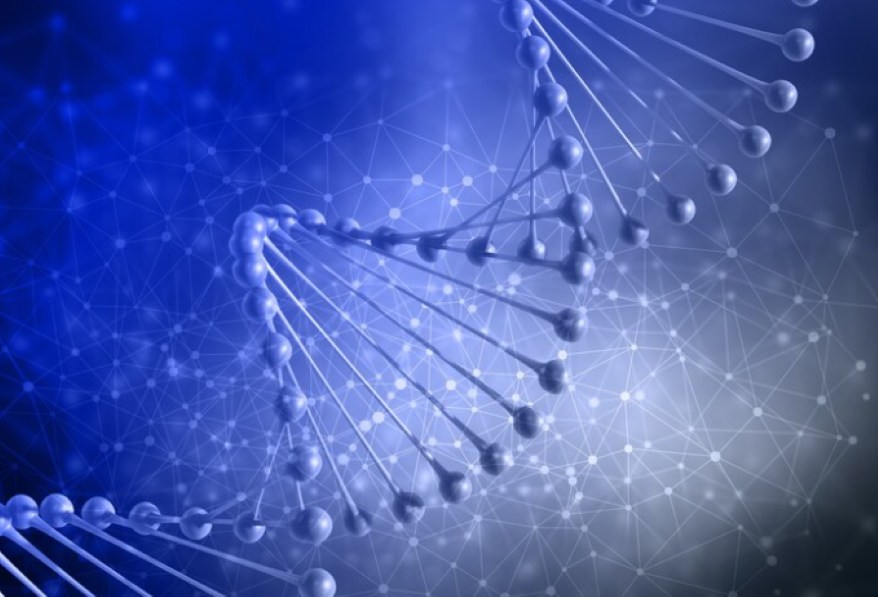 Genetic Tools