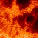 Next Post Image
