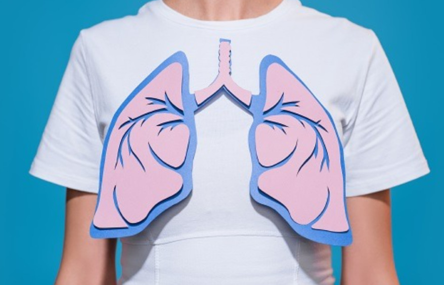 Respiratory System