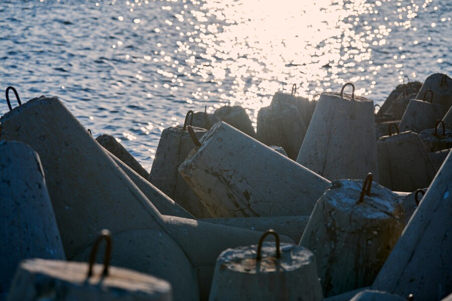 tetrapods