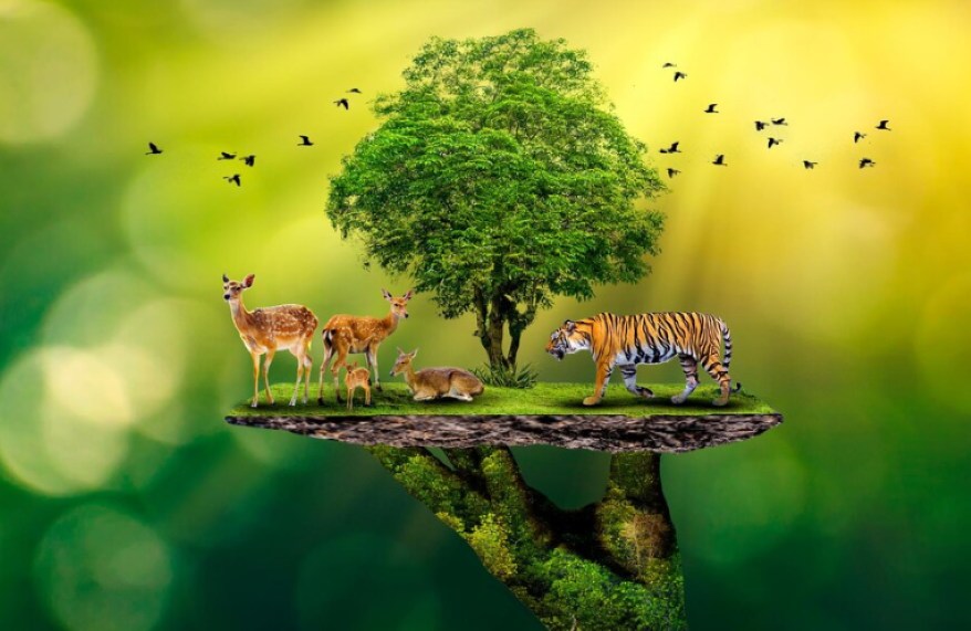 Wildlife Protection