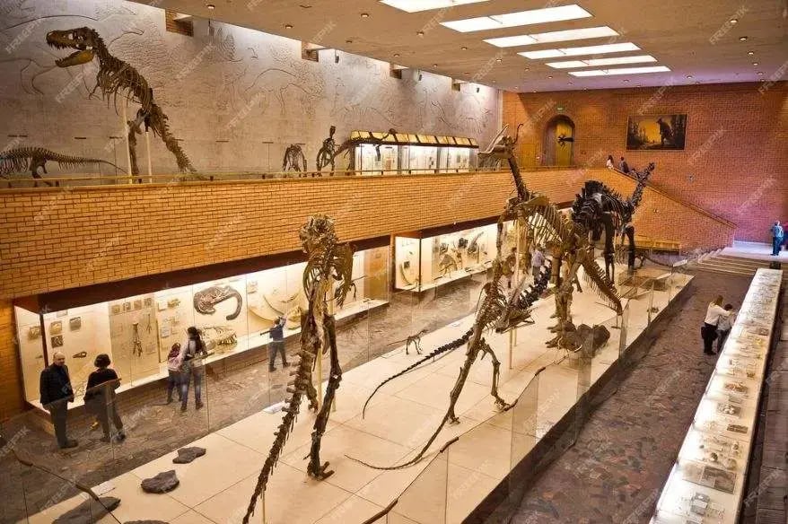 Fossil Conservation