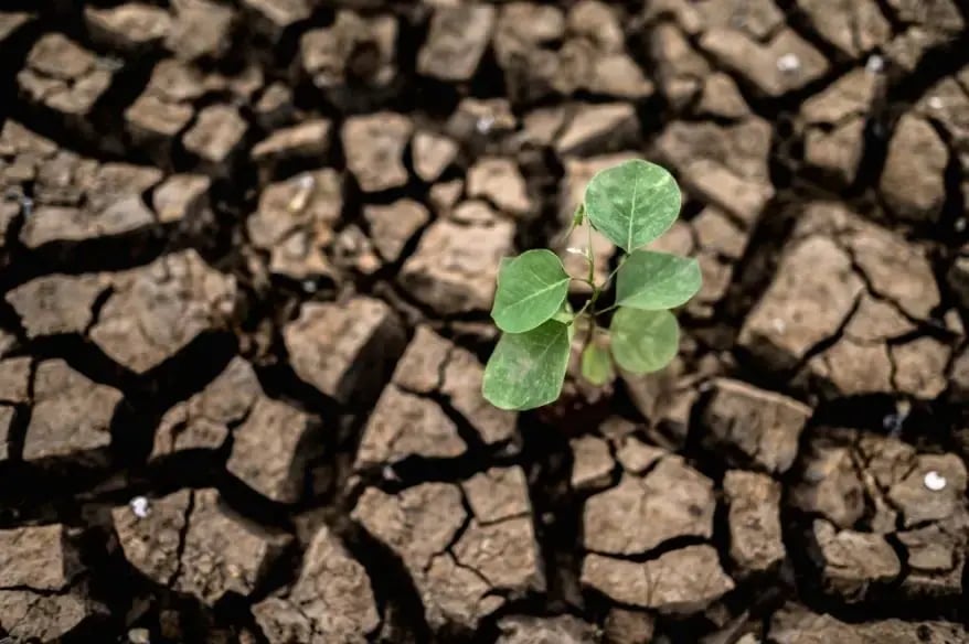 soil contamination and its impact on environmental chemistry