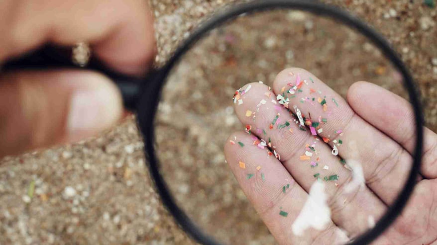 Microplastics Inside humans