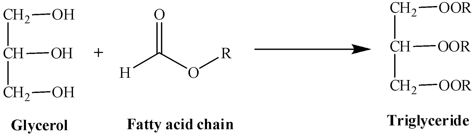 Reaction involved in the formation of a triglyceride.