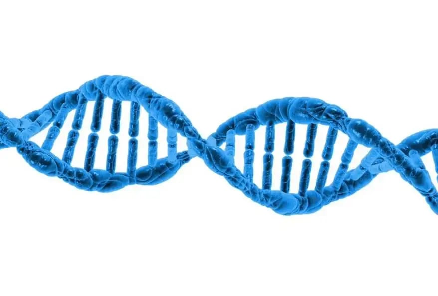 DNA the OG