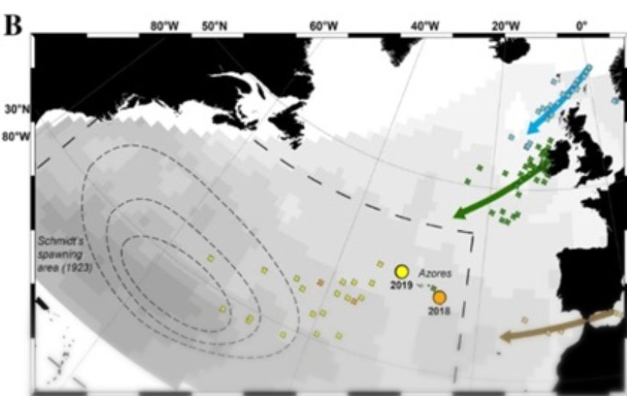 Map of tagged Eel Fish